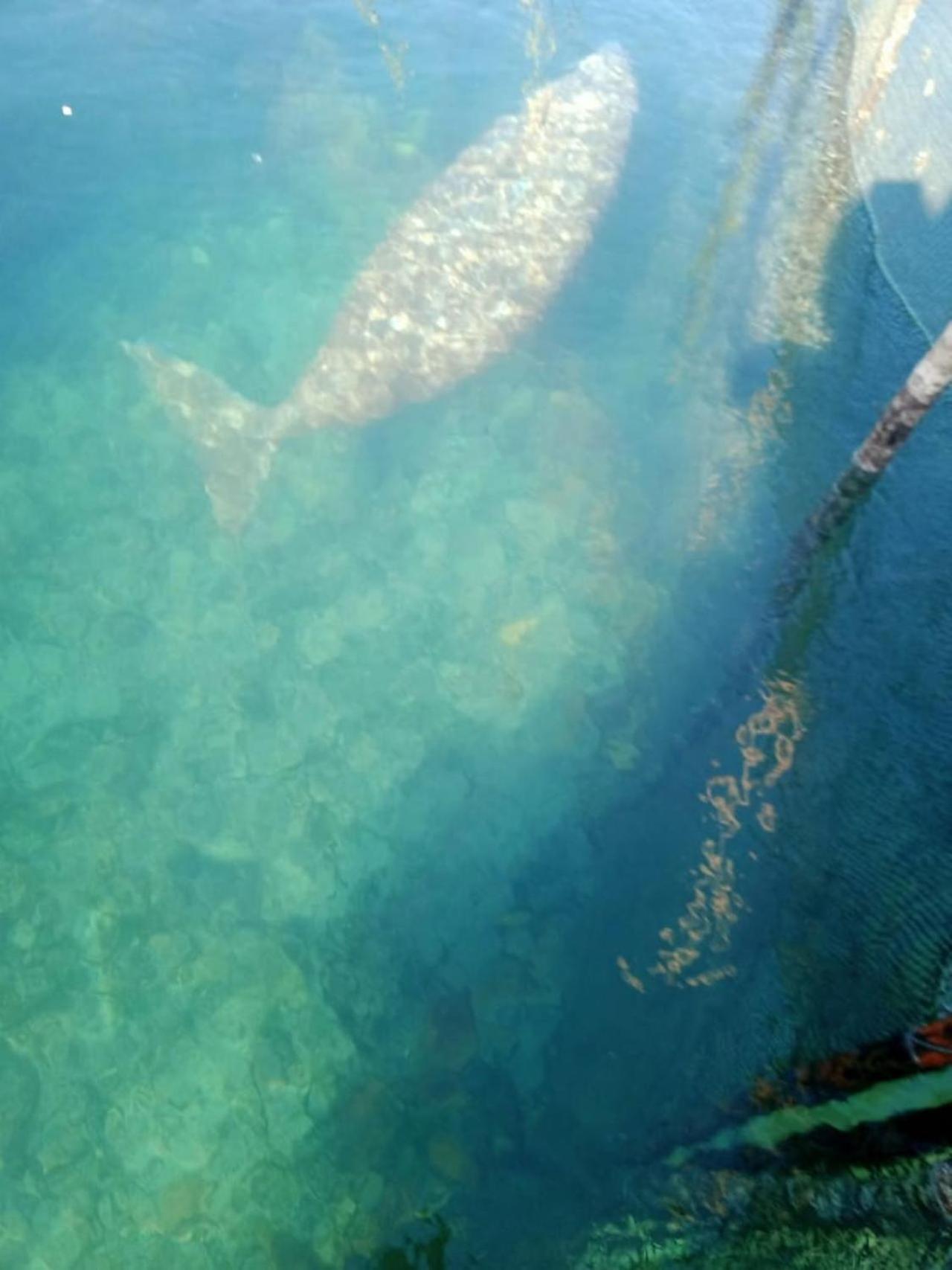 Pondok Wisata Noah Likupang ภายนอก รูปภาพ